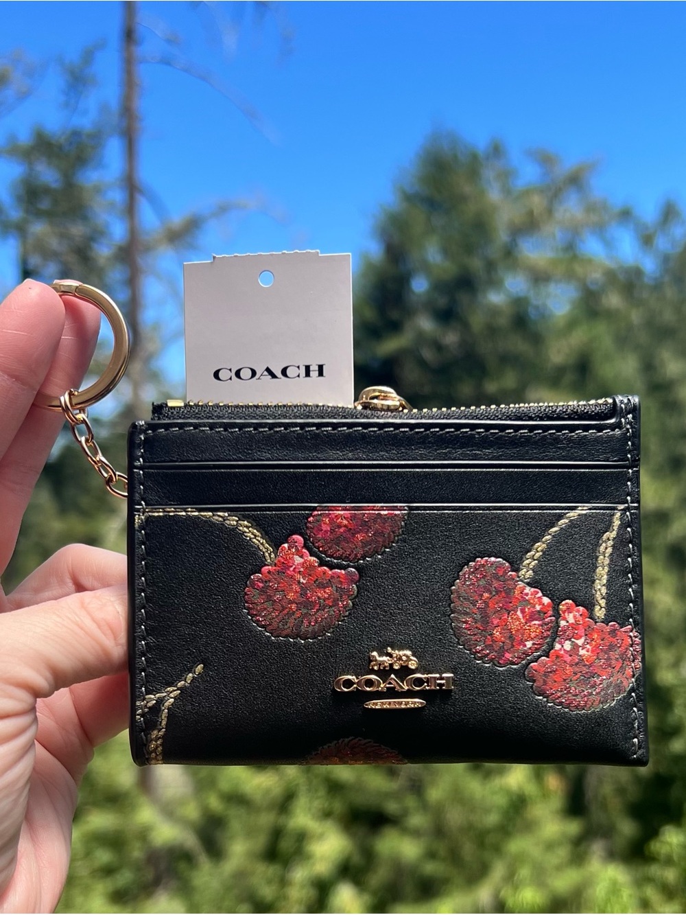 COACH Mini Skinny Id Case Cardholder Wallet with Cherry Print NWT AUTHENTIC